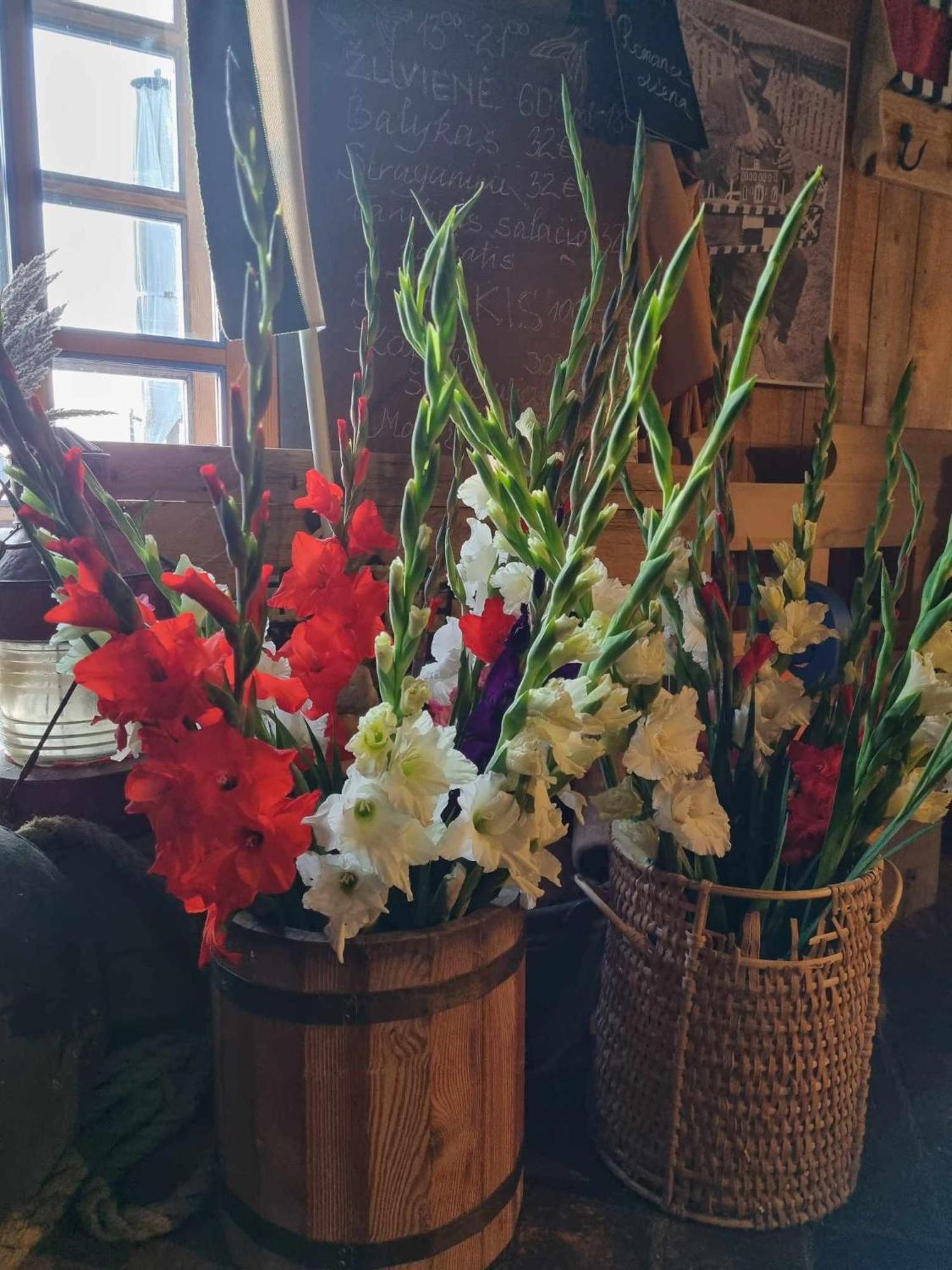 Sturmu Svyturys Bed and Breakfast Sturmai Εξωτερικό φωτογραφία